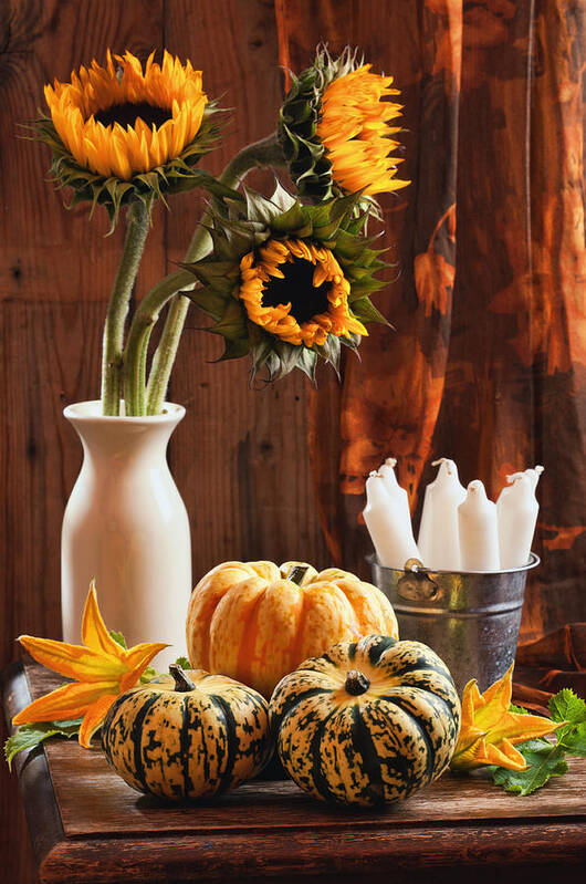Pumpkin Art Print featuring the photograph Sunflower and Gourds Still Life by Amanda Elwell