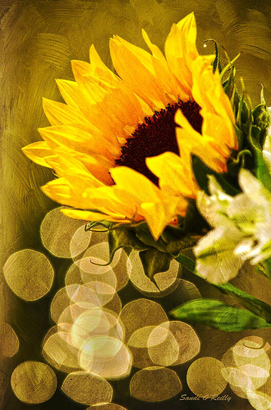 Sunflower Art Print featuring the photograph Sunflower And The Lights by Sandi OReilly