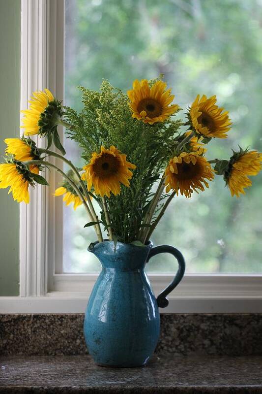 Flower Art Print featuring the photograph Sunflower Window by Paula Rountree Bischoff