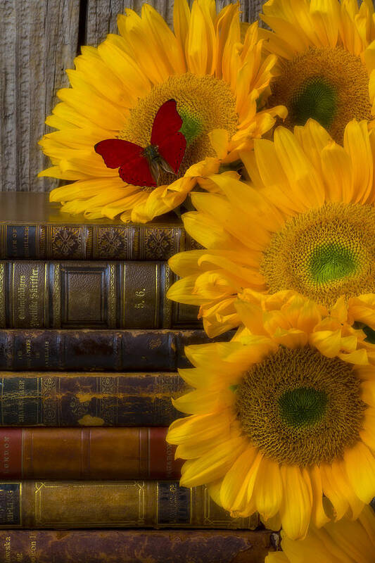 Sunflowers Art Print featuring the photograph Sunflowers and old books by Garry Gay