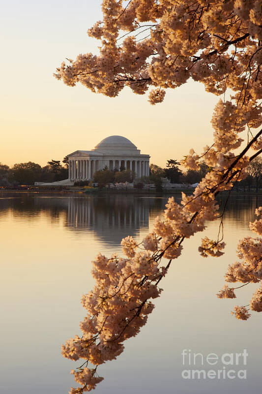 Washington Dc Art Print featuring the photograph Sunrise over Jefferson Memorial by Brian Jannsen