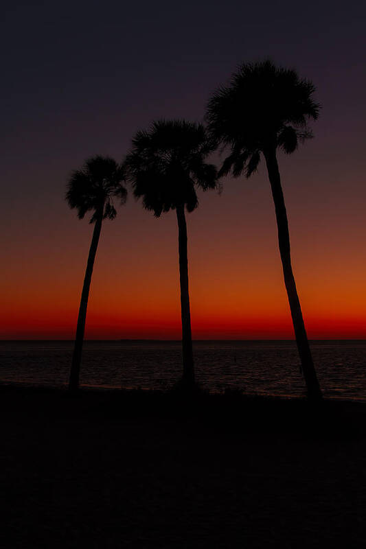 Florida Art Print featuring the photograph Sunset Beach Silhouette by Jerry Nettik