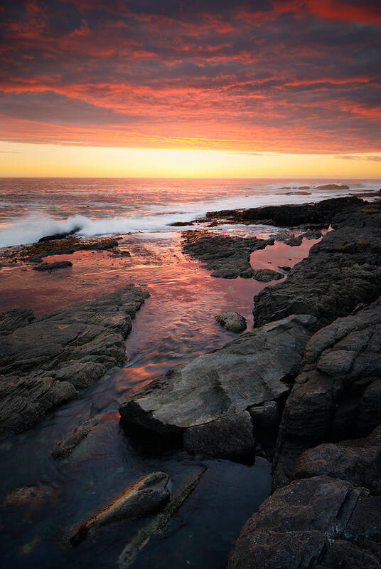 Ocean Art Print featuring the photograph Sunset over rocky coastline by Johan Swanepoel