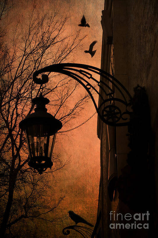 Street Lantern With Raven Art Print featuring the photograph Surreal Fantasy Gothic Street Lantern With Crows and Ravens by Kathy Fornal