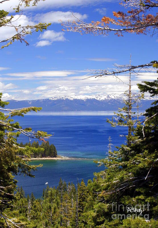 Tahoe Blue Art Print featuring the photograph Tahoe Blue by Patrick Witz