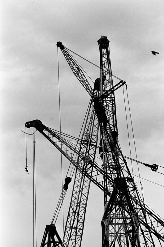 Wtc Art Print featuring the photograph Tangled Crane Booms by William Haggart