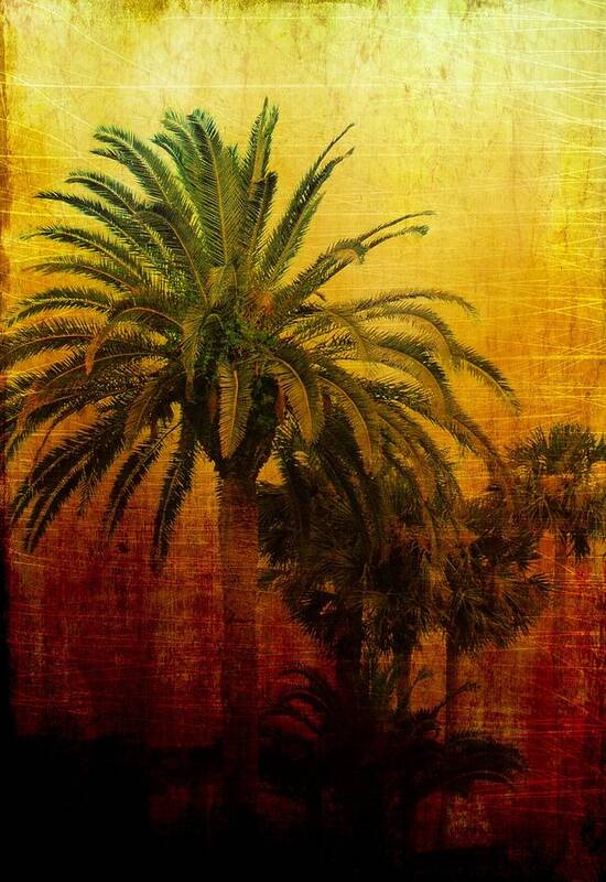 Palm Trees Art Print featuring the digital art Tequila Sunrise by Jan Amiss Photography