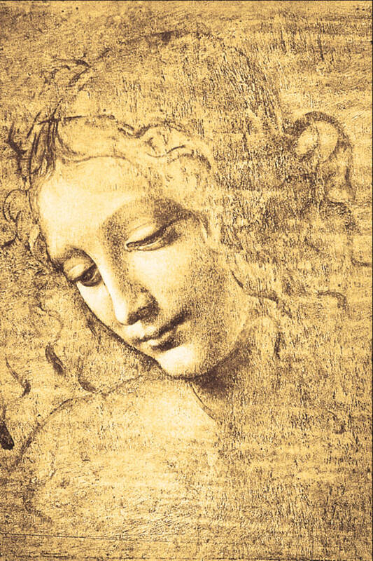 Leonardo Da Vinci Art Print featuring the painting Testa di fanciulla detta la scapigliata by Leonardo Da Vinci