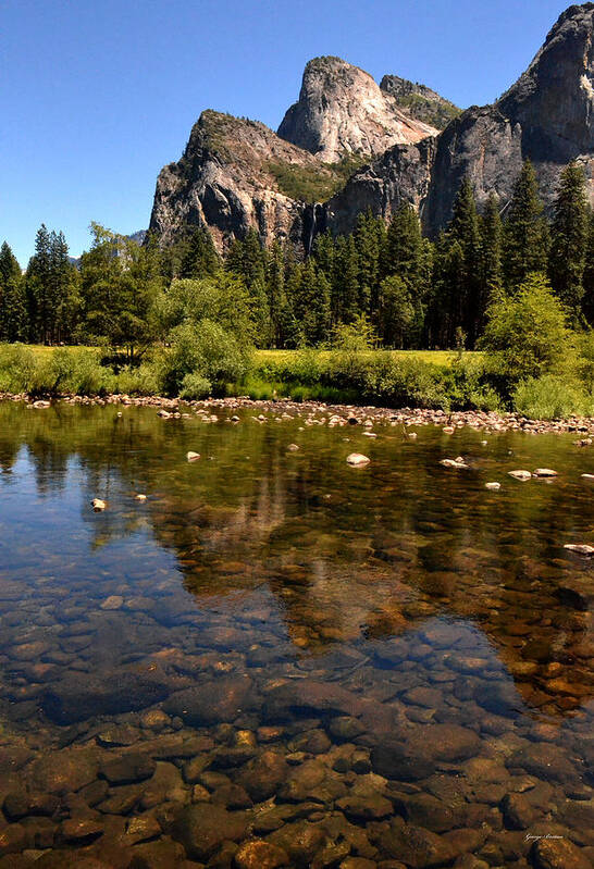 Stream Art Print featuring the photograph The Beauty Of Yosemite by George Bostian