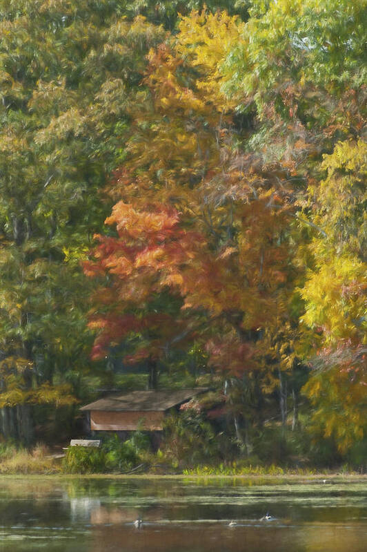 Weston Art Print featuring the photograph The Cabin at Cherry Brook by Jean-Pierre Ducondi