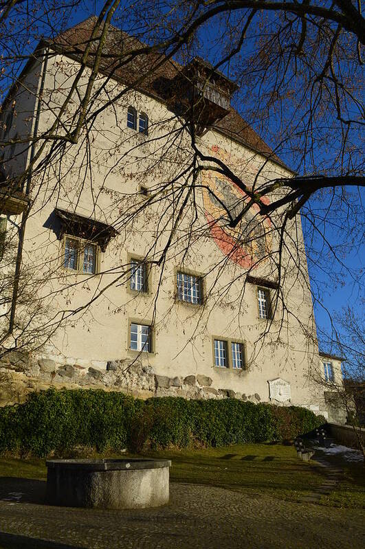 Landscape Art Print featuring the photograph The Castle greets a sunny day by Felicia Tica