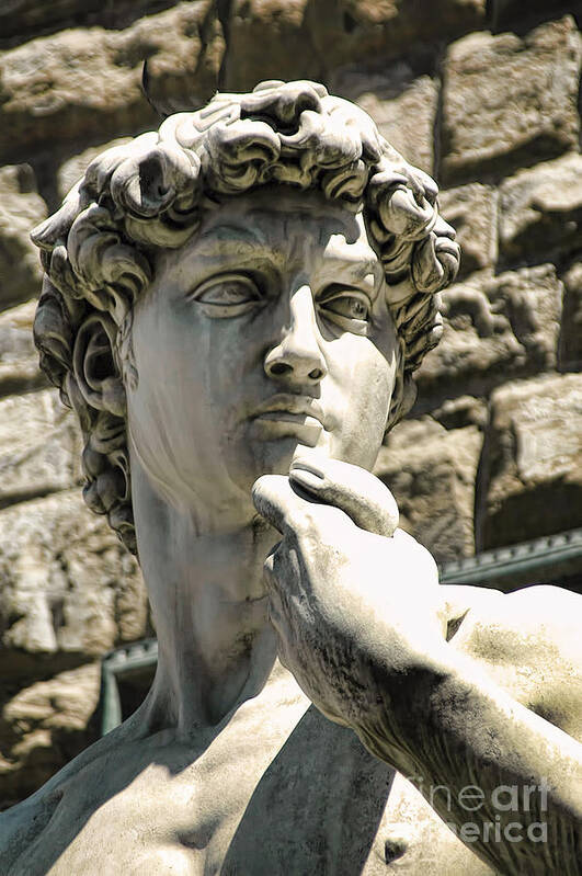 Florence Art Print featuring the photograph The Face of David by Brenda Kean