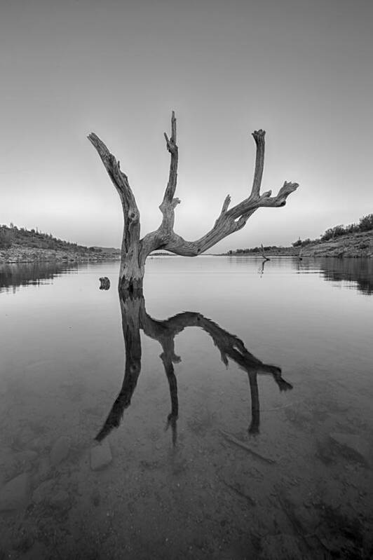 Arizona Art Print featuring the photograph The Kings Hand 2 Black and White by Scott Campbell