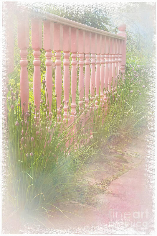 Garden Art Print featuring the photograph The Pink Fence by Marilyn Cornwell