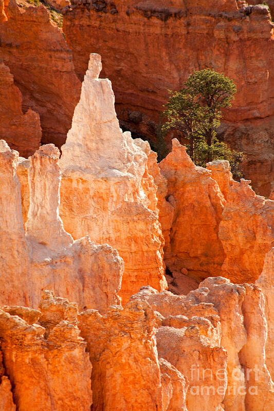 Bryce Canyon Art Print featuring the photograph The Pope Sunrise Point Bryce Canyon National Park by Fred Stearns