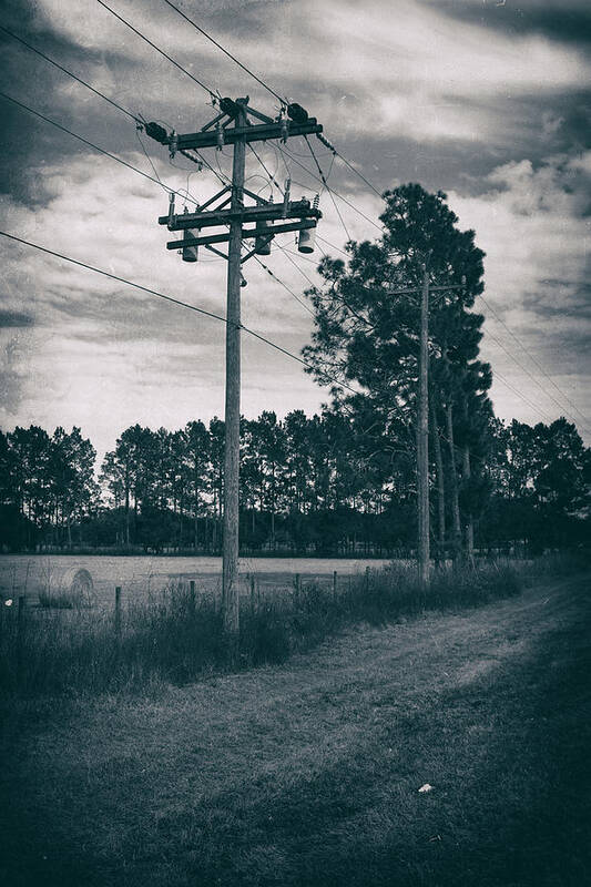 Nature Art Print featuring the photograph The Power Lines by Howard Salmon