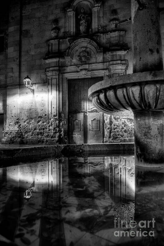 Silent Lucidity Art Print featuring the photograph The Reflection Of Fountain by Erhan OZBIYIK