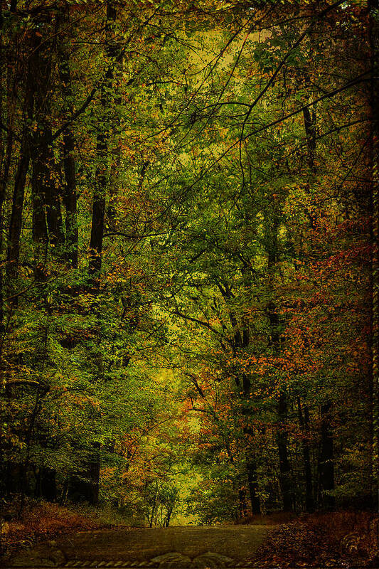 Autumn Art Print featuring the photograph The Road Into Fall by Carol Senske