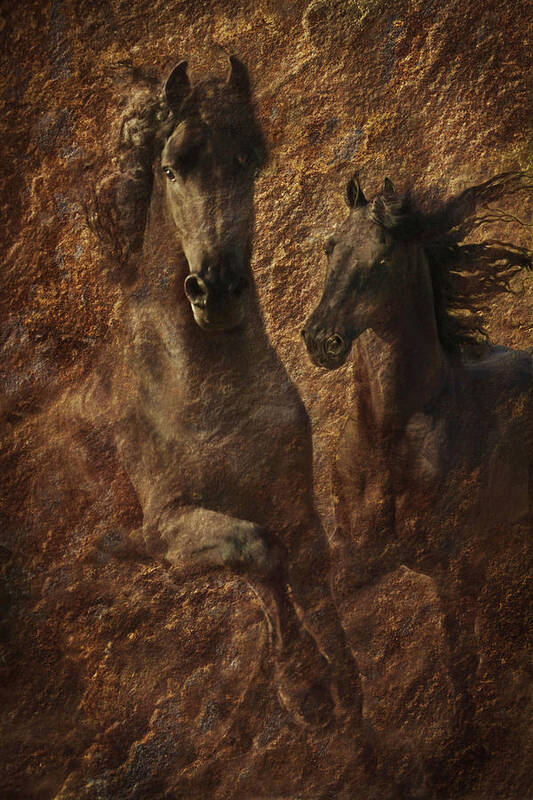 Dynamic Horses Art Print featuring the photograph The Spirit of Black Sterling by Melinda Hughes-Berland