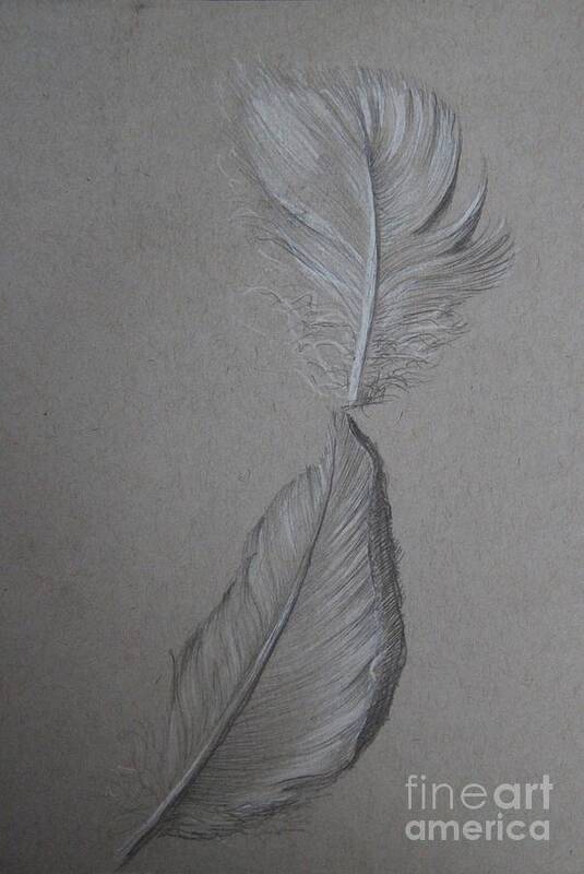 Feather Art Print featuring the drawing The Touch by Iglika Milcheva-Godfrey