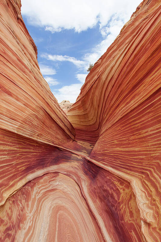 Tranquility Art Print featuring the photograph The Wave - North Coyote Buttes by Patrick Leitz