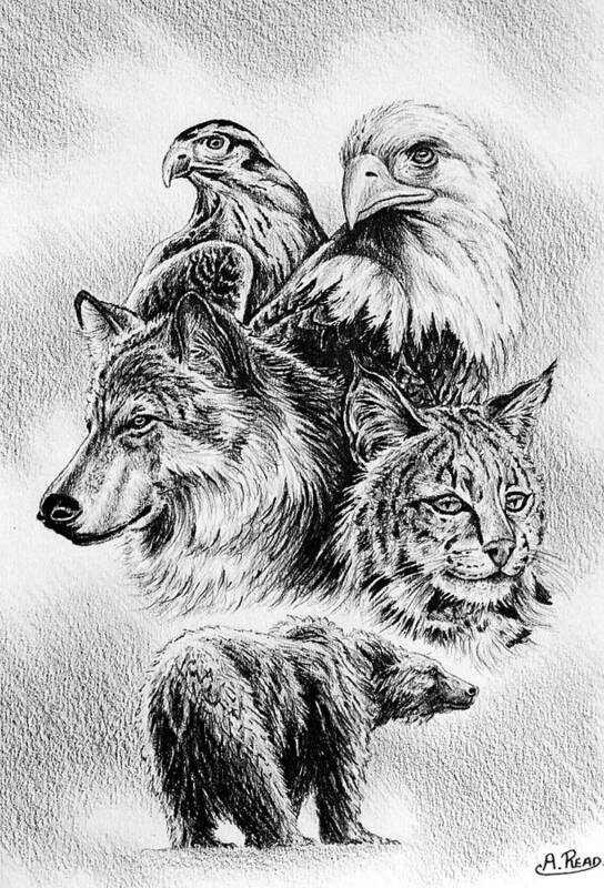 Wildlife Art Print featuring the drawing The Wildlife Collection 1 by Andrew Read