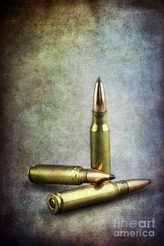 Ammo Art Print featuring the photograph Three Chances by Stephanie Frey