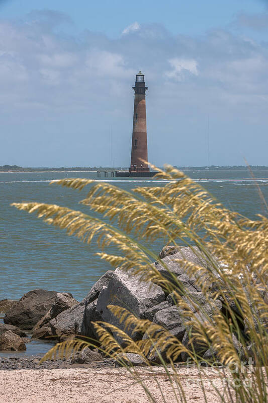 Morris Island Lighthouse Art Print featuring the photograph Through the Sea Grass by Dale Powell