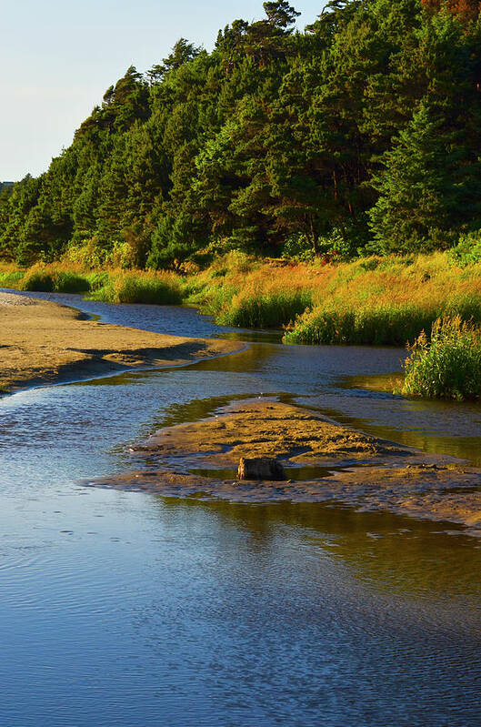 Tranquility Art Print featuring the photograph Tidal Pool by James Emery