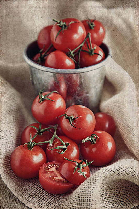 Bucket Art Print featuring the photograph Tomatoes by Lynne Daley