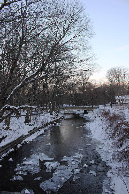 Tookany Art Print featuring the photograph Tookany Creek by Jacob Leff