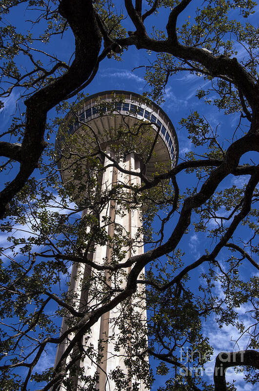 Tower Of Americas Art Print featuring the photograph Tower of Americas by Bob Phillips