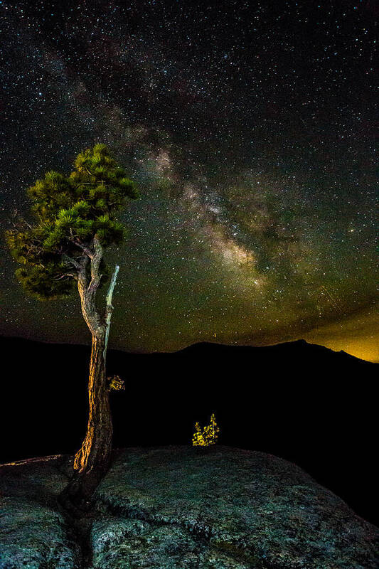 Tree Art Print featuring the photograph Tree Amongst the Stars by Mike Lee