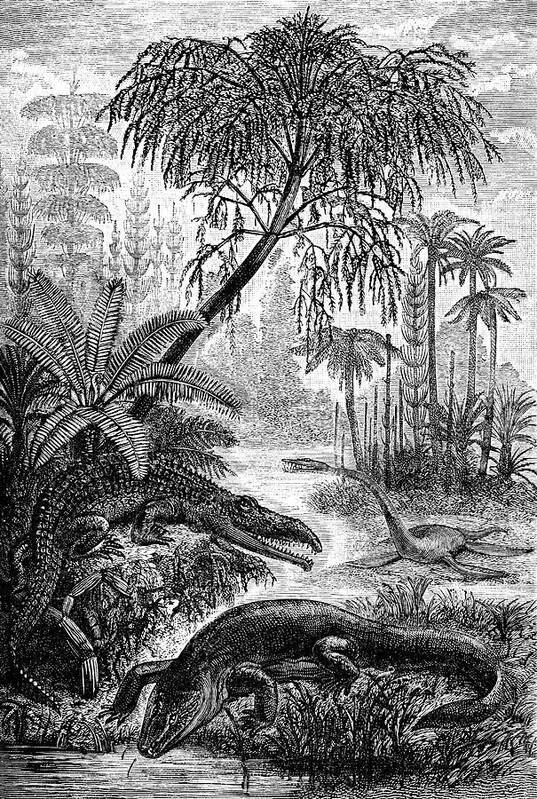19th Century Art Print featuring the photograph Triassic World by Collection Abecasis