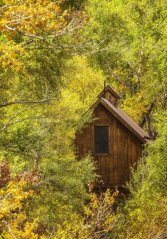 Cabin Art Print featuring the photograph Tucked Away In Telluride by Darren White