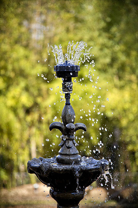Natchez Art Print featuring the photograph Twin Oaks Garden Fountain by Patricia Montgomery