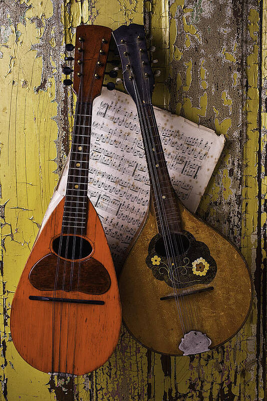 Two Art Print featuring the photograph Two Old Mandolins by Garry Gay