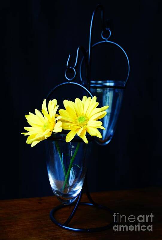 Flower Art Print featuring the photograph Two Yellow Daisies by Kerri Mortenson