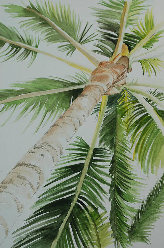 Palm Tree Art Print featuring the painting Under the Palm by Teresa Smith
