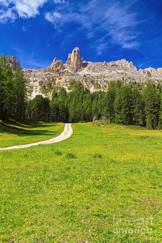 Summer Art Print featuring the photograph Vaiolet Valley and Catinaccio mount by Antonio Scarpi