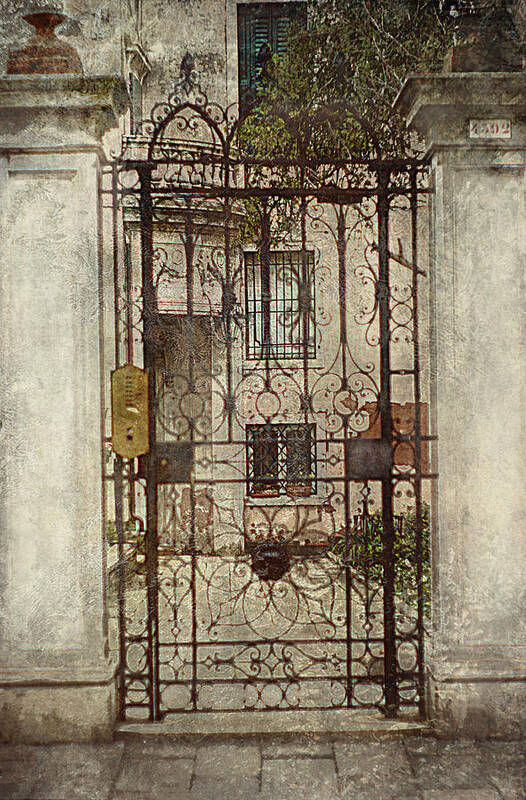 Gate Art Print featuring the photograph Venice Iron Gate by Suzanne Powers