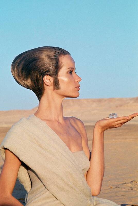 Fashion Art Print featuring the photograph Veruschka Von Lehndorff Sitting In A Desert by Franco Rubartelli