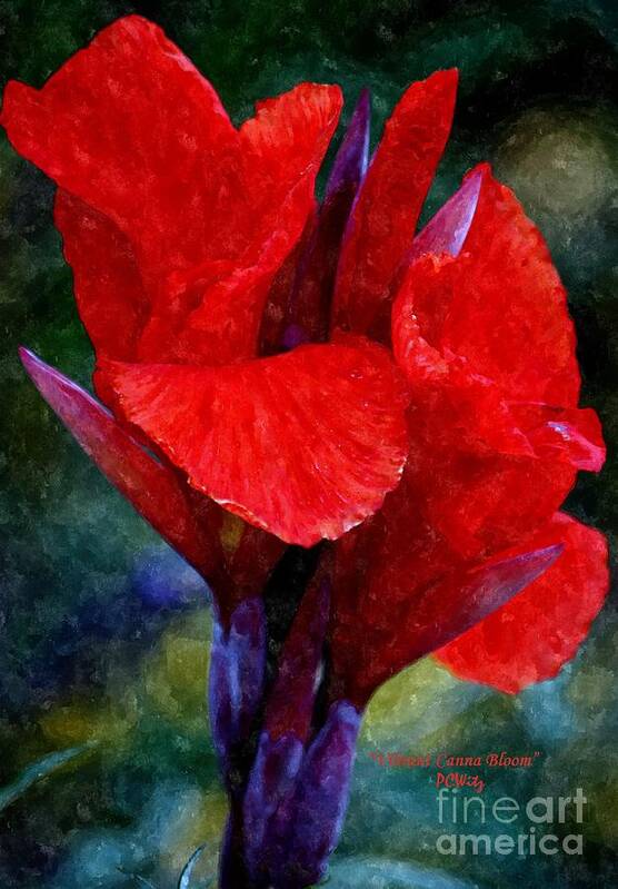 Vibrant Canna Bloom Art Print featuring the photograph Vibrant Canna Bloom by Patrick Witz