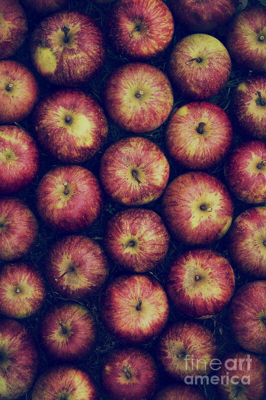 Vintage Art Print featuring the photograph Vintage Apples by Tim Gainey