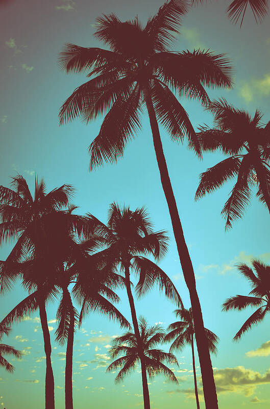 Aged Art Print featuring the photograph Vintage Tropical Palms by Mr Doomits