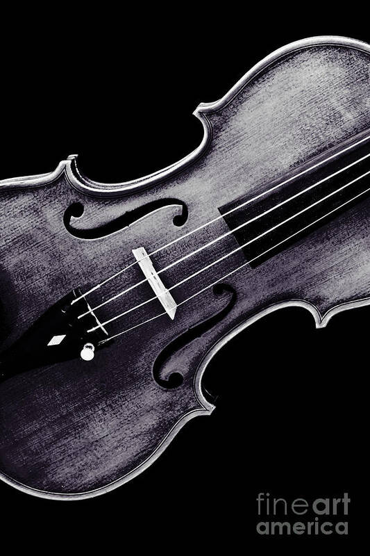 Violin Art Print featuring the photograph Violin Viola Photograph Strings Bridge in Sepia 3264.01 by M K Miller