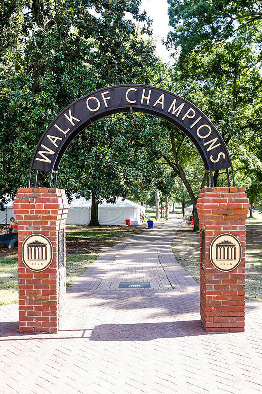 Walk Art Print featuring the photograph Walk of Champions by Chris Smith