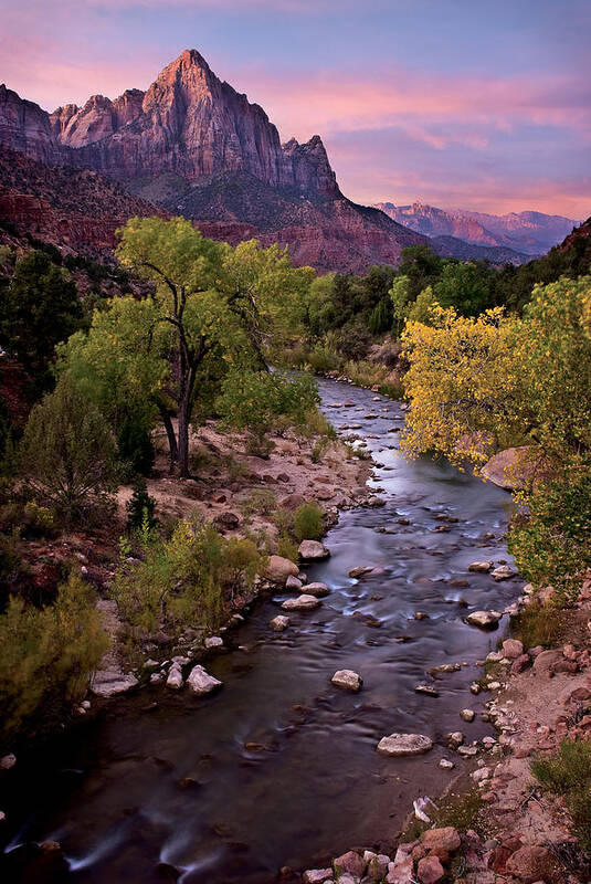 Zion Art Print featuring the photograph Watchman Tower Zion Sunrise by Dave Dilli