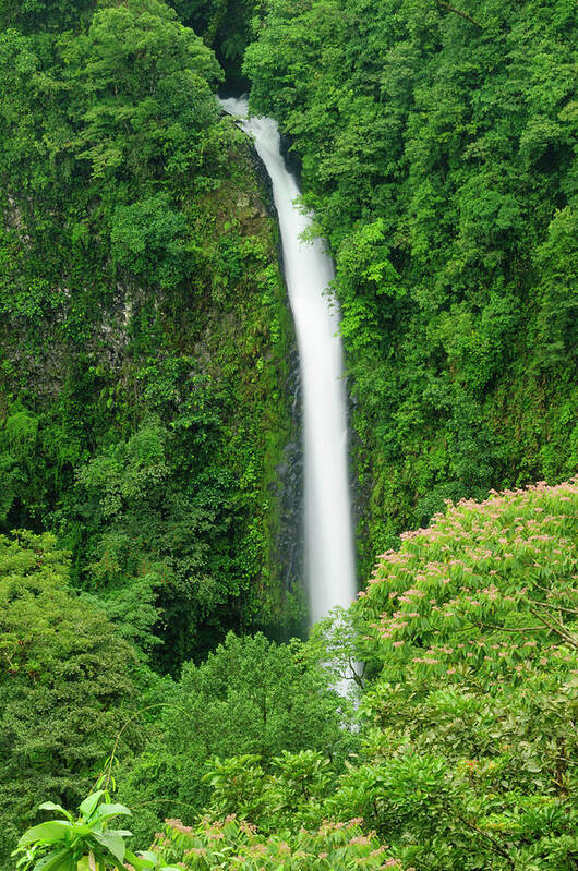 Tropical Rainforest Art Print featuring the photograph Waterfall In A Tropical Rainforest by Ogphoto