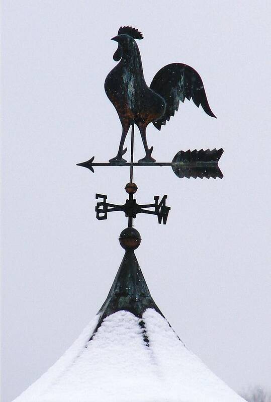 Weathervane Art Print featuring the photograph Weathervane by Mia Capretta